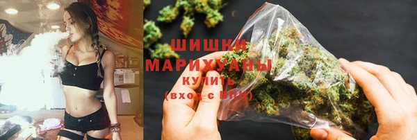 тгк Абаза