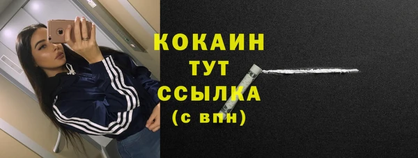 стаф Абинск