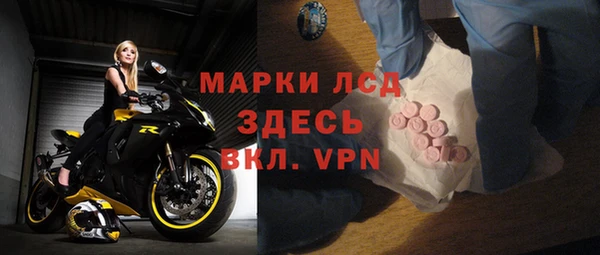 стаф Абинск
