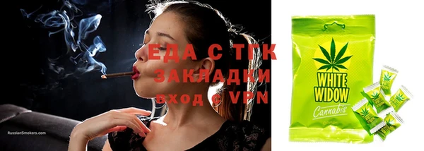 молекула духа Осташков