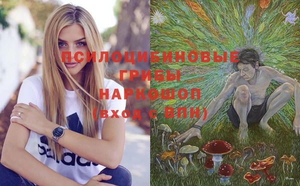 2c-b Абдулино