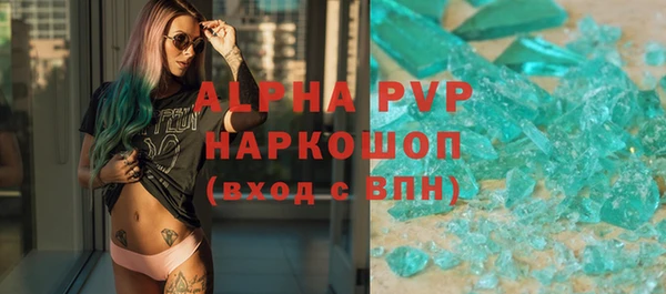 стаф Абинск